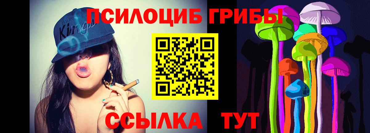 Галлюциногенные грибы прущие грибы Конаково